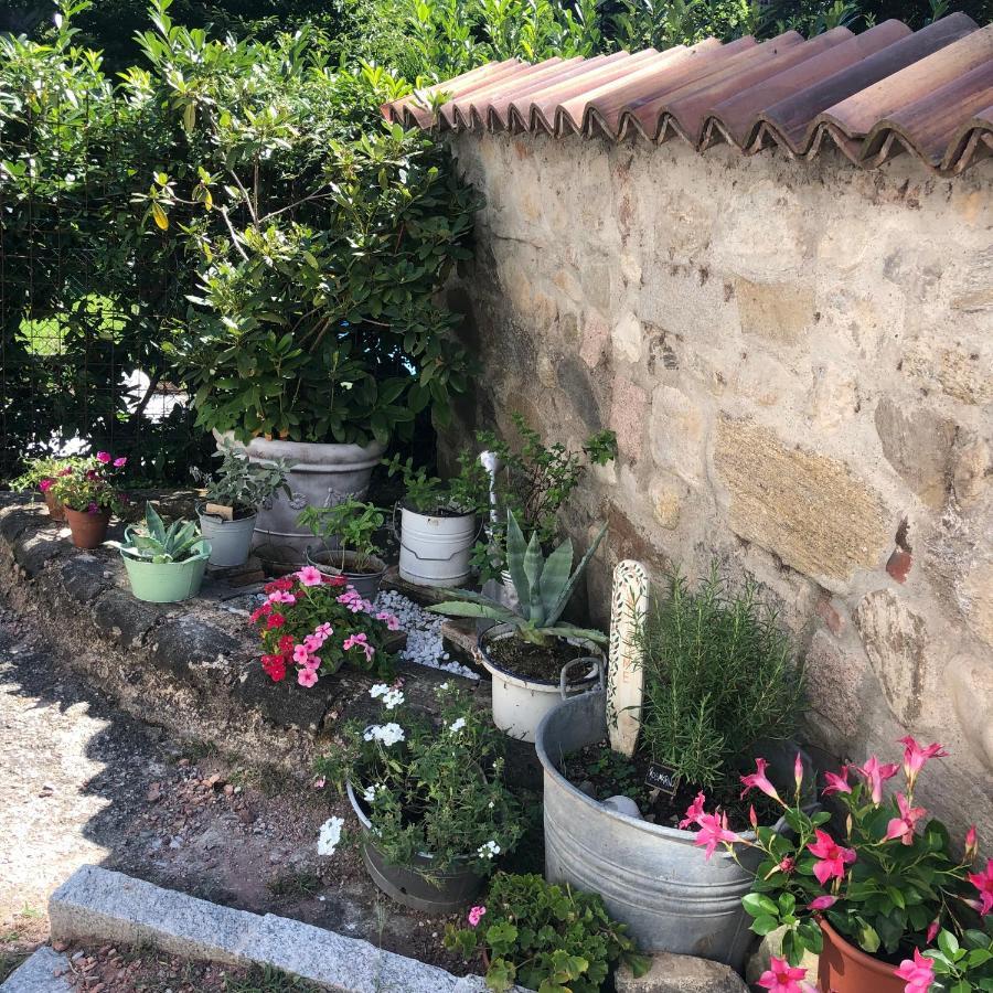 Casa Nonna Elide 2 Appartement Besozzo Buitenkant foto